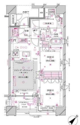 オーパスレジデンス銀座イースト　801号室　間取り