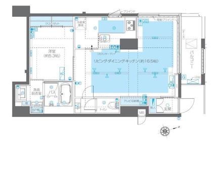 ZOOM広尾　301号室　間取り