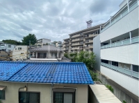 MDM白金台
