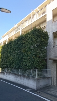 パークブルーム三葉