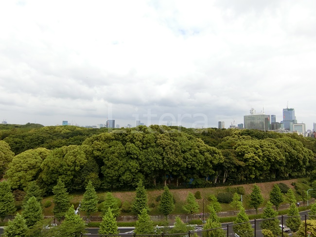 メゾンカルム代々木公園