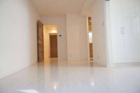 アデニウム新橋