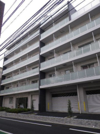 クリプトメリア目黒