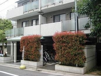 グリーン初波奈