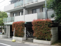 グリーン初波奈