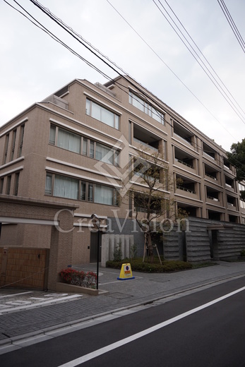 ＲＯＰＰＯＮＧＩ　ＰＬＡＣＩＤ