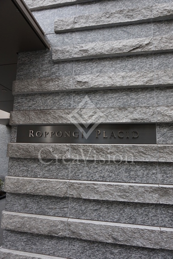 ＲＯＰＰＯＮＧＩ　ＰＬＡＣＩＤ
