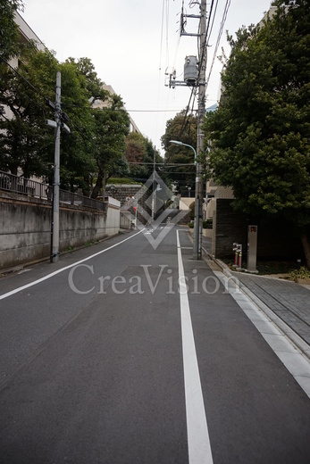 ＲＯＰＰＯＮＧＩ　ＰＬＡＣＩＤ
