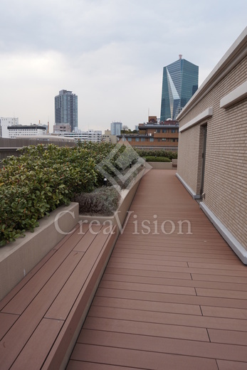 ＲＯＰＰＯＮＧＩ　ＰＬＡＣＩＤ