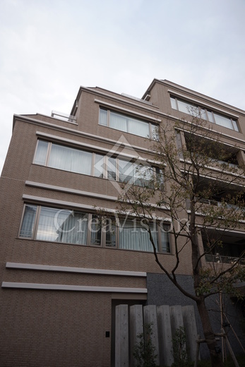 ＲＯＰＰＯＮＧＩ　ＰＬＡＣＩＤ