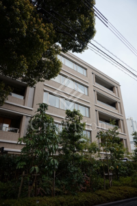 ＲＯＰＰＯＮＧＩ　ＰＬＡＣＩＤ