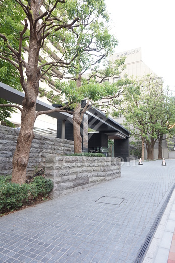 赤坂タワーレジデンスＴｏｐ　ｏｆ　ｔｈｅ　Ｈｉｌｌ