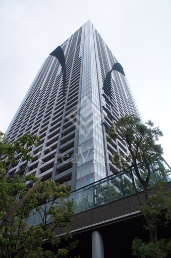 ＴＨＥ　ＴＯＫＹＯ　ＴＯＷＥＲＳ　ＭＩＤＴＯＷＥＲ