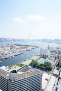 ＴＨＥ　ＴＯＫＹＯ　ＴＯＷＥＲＳ　ＭＩＤＴＯＷＥＲ