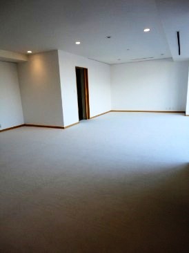 西麻布パークタワーズ イースト