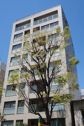 ガイアシティ三番町