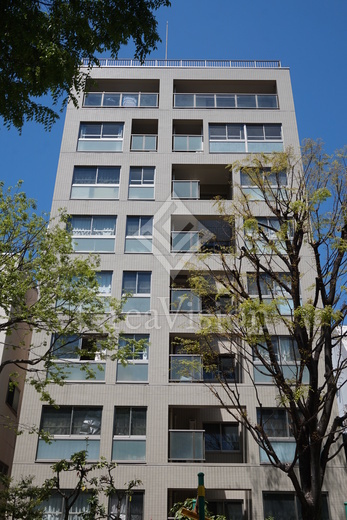 ガイアシティ三番町
