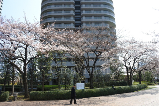 リバーポイントタワー