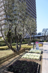 リバーポイントタワー