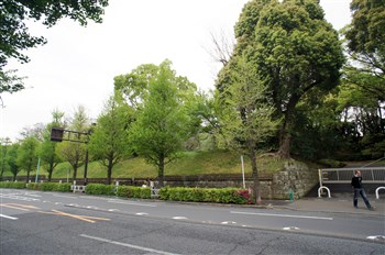 ヴェルデヴィスタ代々木公園