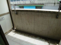 大都館
