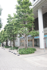 白金タワー