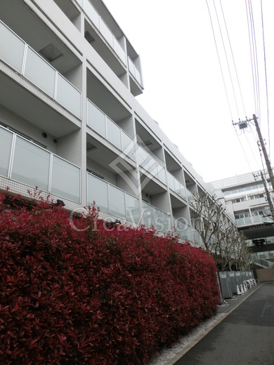 六本木デュープレックスエムズ