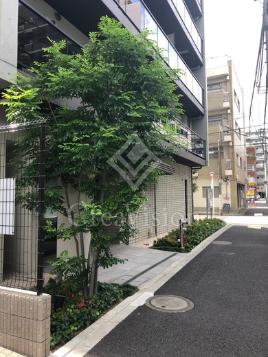 プラウドフラット森下3