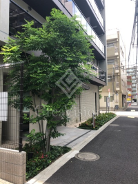 プラウドフラット森下3