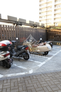 ベルタワー