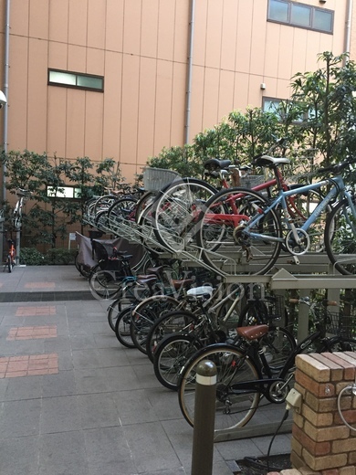 ＭＯＭＥＮＴＯ　ＳＨＩＯＤＯＭＥ