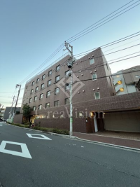 ZEDOAN HIROO