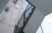 ディームス等々力