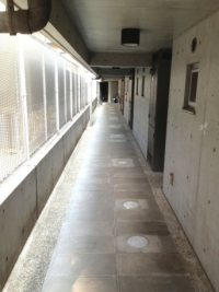 FLEG池尻