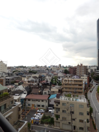インザガーデン