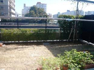 シティハウス豊洲キャナルテラス