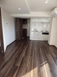 HakusanHDC Flat