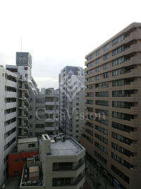 ザ・タワー小石川