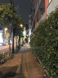 コンフォリア文京白山