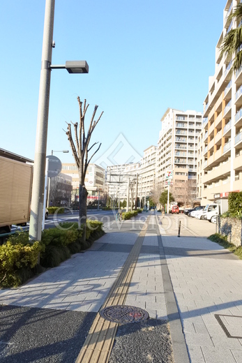 ロイヤルパークス新田