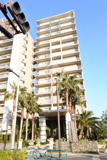 ロイヤルパークス新田