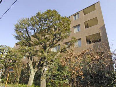 ライオンズガーデン四谷津の守坂