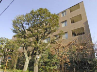 ライオンズガーデン四谷津の守坂