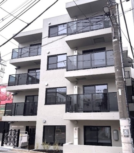 THE PALMS MUSE 新江古田