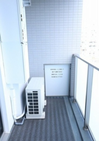 Ｃｒａｎｅ　Ｃｏｕｒｔ　Ｔｓｕｒｕｍｉ