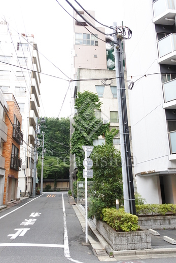 フリージアテラス