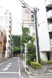 フリージアテラス