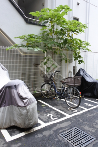 フリージアテラス