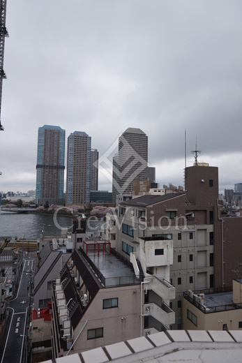 銀座レジデンス伍番館