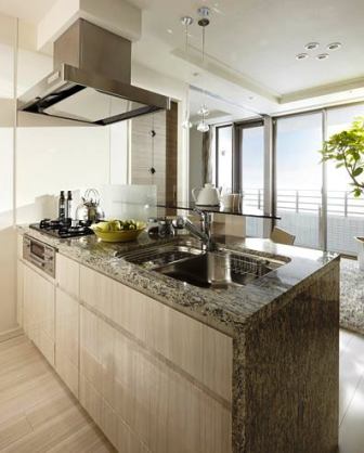 ザ・ミッドハウス新宿御苑